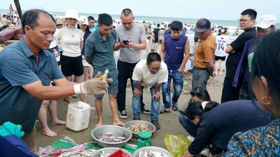 Para wisatawan senang membeli makanan laut segar di desa nelayan pesisir Sam Son.