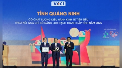 Quang Ninh bekräftigt seine Position unter den führenden Gruppen in den PCI- und BPI-Indizes im Jahr 2025: Reformbemühungen, Aufbau dauerhaften Vertrauens.