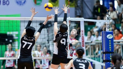 Program zápasu VTV9 - Binh Dien Women's Volleyball Cup dnes, 17. května.
