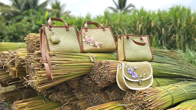 A woman from the Mekong Delta transforms grass fibers from acidic soil into designer handbags...