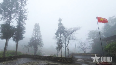 सोन वी सीमावर्ती जंगल के मध्य में