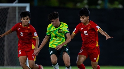 Los medios de comunicación chinos lamentan la eliminación del equipo sub-17 de Vietnam y expresan su preocupación por el partido de semifinales de su equipo contra Australia.