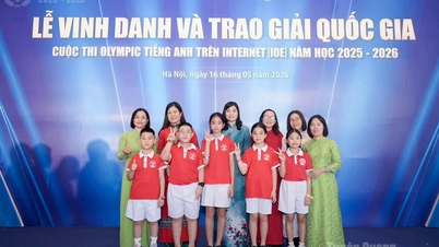 29 studentů z Tuyen Quang bylo oceněno za vítězství v celostátní online soutěži v anglické olympiádě.