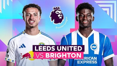 Présentation du match : Leeds contre Brighton, 21h00, le 17 mai : Les mouettes prennent leur envol.