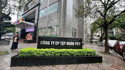 PC1 Grubu, Yönetim Kurulu Başkanı Trinh Van Tuan yönetiminde nasıl bir performans sergiledi?