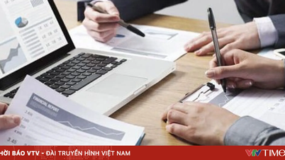 Xác định thời điểm kiểm toán báo cáo tài chính đối với doanh nghiệp lớn