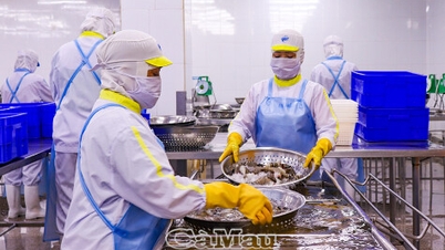 Công đoàn Cà Mau đồng hành chăm lo người lao động