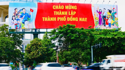 [तस्वीर] बड़े दिन से पहले डोंग नाई को झंडों और फूलों से सजाया गया है।