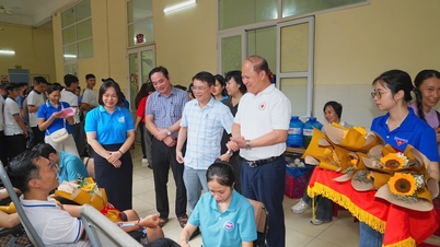 Hai Phong își propune să colecteze 19.000 de unități de sânge în vara anului 2026.