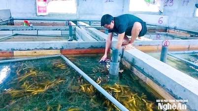 ການລ້ຽງປາໄຫຼບໍ່ຕິດດິນ: ຈາກຮູບແບບການທົດລອງສູ່ຕະຫຼາດສົ່ງອອກ.
