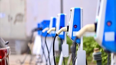 Dominar el "juego" de la tecnología de vehículos eléctricos en Vietnam.