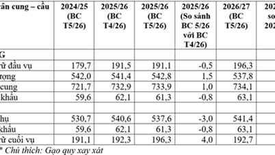 Global rice market 2026/27: Trade reaches a record 63.1 million tons.