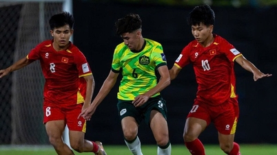 Vietnam U17 and the value of defeats