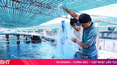 Tran Phu Ward is developing urban agriculture in a high-tech direction.