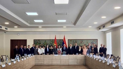 Segunda reunión del Comité Intergubernamental Vietnam-Armenia y eventos conexos.