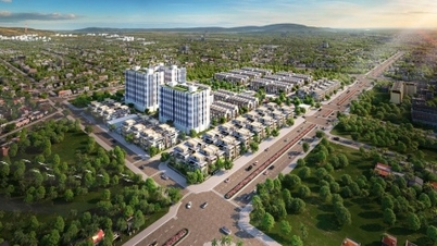 Dwóch liderów Cen Landu złożyło rezygnacje przed Zgromadzeniem Ogólnym ONZ w 2026 r.