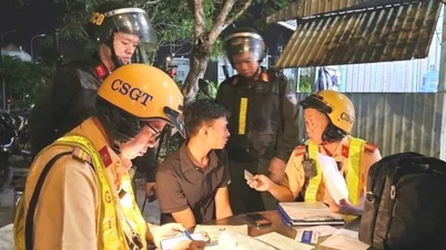 Intensive phase of comprehensive review, statistics gathering, and crackdown to clean up the area.