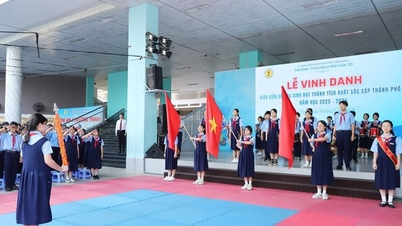 Een andere bekende middelbare school in Ho Chi Minh-stad heeft haar inschrijvingsplan voor het zesde leerjaar bekendgemaakt, inclusief een lijst met toelatingseisen.