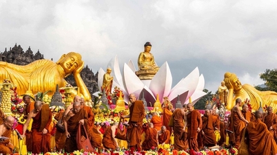Vesak 2026: Eine Reihe von Aktivitäten mit Schwerpunkt auf Sozialwesen, Gemeinschaftskultur und nachhaltigem Tourismus.