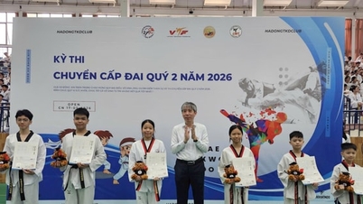 Exame de Admissão de Taekwondo da Capital: Promovendo o espírito das artes marciais desde a base.