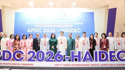 مؤتمر APDC–HAIDEC 2026: علامة فارقة ترفع من مكانة طب الأسنان الفيتنامي على الخريطة الدولية.