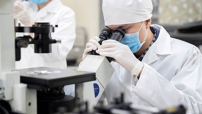 Le Vietnam priorise le développement de 70 technologies stratégiques de pointe.