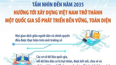 Projekt 06, Phase 2026-2030: Förderung der nationalen digitalen Transformation auf Basis von Bevölkerungsdaten.