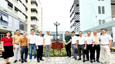 Le club de golf de l'université de droit de Hanoï participe à l'aménagement d'espaces verts sur le site d'entraînement de l'université de droit de Hanoï à Bac Ninh.