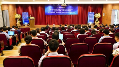 Le cours sur la propriété intellectuelle – Un outil efficace pour promouvoir l’innovation et commercialiser les résultats de la recherche.