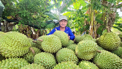 Herausforderungen für die Obst- und Gemüseindustrie