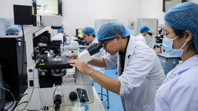 ĐH quốc gia trong kỷ nguyên mới của dân tộc: Kiến tạo phát triển