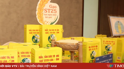 ข้าวเวียดนามกำลังขยายตลาดในญี่ปุ่นเนื่องจากคุณภาพและราคาที่แข่งขันได้