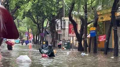 पर्यावरण - सतत विकास का आधार