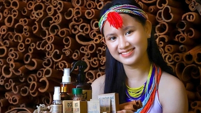 Hương quế gọi về đại ngàn