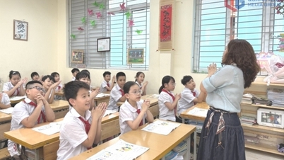 교육 및 훈련 개발에 집중하십시오.