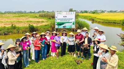 มหาวิทยาลัยดานัง: งานวิจัยทางวิทยาศาสตร์ที่เชื่อมโยงกับการปฏิบัติจริงในท้องถิ่น