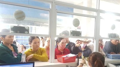 Phổ biến nghị định, thông tư hướng dẫn Luật Đấu thầu và Luật Dược