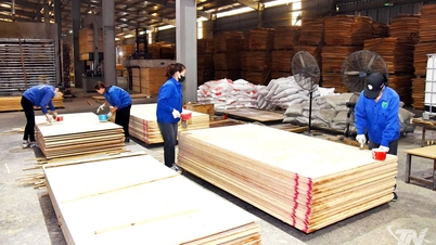 Phát triển bền vững ngành chế biến gỗ