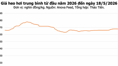 18 Mayıs, bugünkü domuz eti fiyatları: Dong Nai'de fiyatlar 70.000 VND/kg'a düştü, piyasa istikrarlı kaldı.