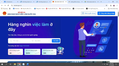 INSTRUKTIONER FÖR ANVÄNDNING AV DEN NATIONELLA ARBETSFÖRMÅLEN (vieclam.gov.vn)