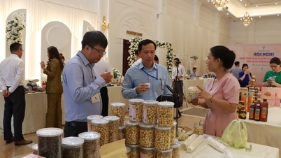มุ่งเน้นการประยุกต์ใช้เทคโนโลยีสารสนเทศและการปรับตัวให้เข้ากับบริบทของการเปลี่ยนแปลงทางดิจิทัลและการเปลี่ยนแปลงที่เป็นมิตรต่อสิ่งแวดล้อมในกิจกรรมที่คุ้มครองสิทธิผู้บริโภค