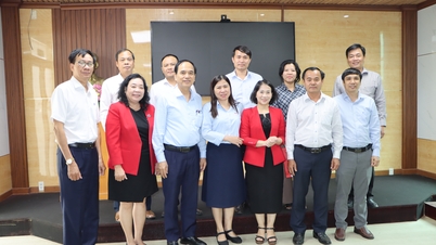 มหาวิทยาลัยนานาชาติหงบังกำลังทำงานร่วมกับกรมวิทยาศาสตร์และเทคโนโลยีของจังหวัดดงไนในการเสนอโครงการด้านวิทยาศาสตร์และเทคโนโลยี