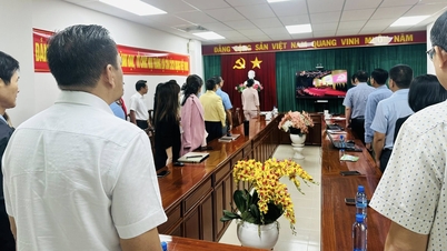 ĐẢNG BỘ SỞ VĂN HÓA, THỂ THAO VÀ DU LỊCH TỔ CHỨC XEM TRUYỀN HÌNH TRỰC TIẾP ĐẠI HỘI ĐẠI BIỂU TOÀN QUỐC LẦN THỨ XIV CỦA ĐẢNG