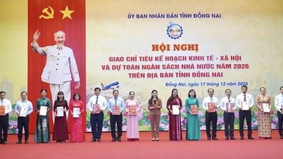 ภาคการก่อสร้างในจังหวัดด่งนายได้รับการกำหนดเป้าหมายการพัฒนา 4 ประการสำหรับปี 2026