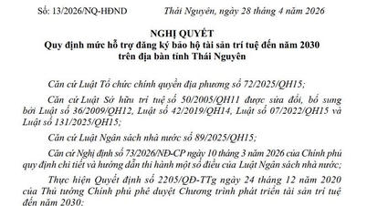 Der Volksrat der Provinz Thai Nguyen hat eine Resolution erlassen, in der das Niveau der Unterstützung für die Registrierung von geistigem Eigentum bis zum Jahr 2030 in der Provinz festgelegt wird.