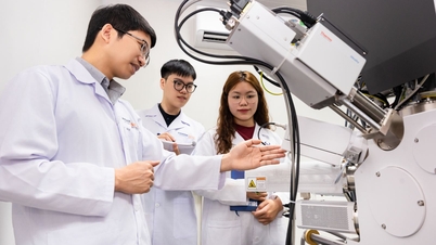 Membangun kapasitas ilmiah di universitas-universitas Vietnam.