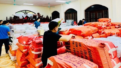 Harga seunit untuk memproses dokumen berasaskan kertas merupakan asas penting bagi agensi dan organisasi di wilayah Thai Nguyen untuk memproses dokumen tunggakan mengikut perkara a, b, dan c, Fasal 1, Perkara 65 Undang-undang Arkib 2024.