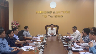 Sở Nông nghiệp và Môi trường triển khai làm sạch, chuẩn hóa dữ liệu phục vụ Trung tâm Dữ liệu tỉnh
