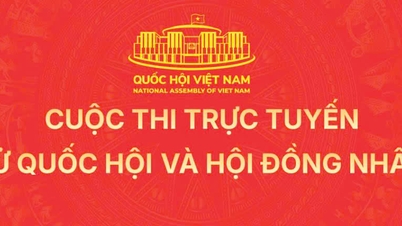 Cuộc thi trực tuyến tìm hiểu bầu cử Quốc hội và HĐND dân các cấp