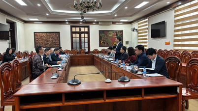 สถานการณ์ราคาตลาดในช่วงเทศกาลตรุษจีนปีม้า 2026
